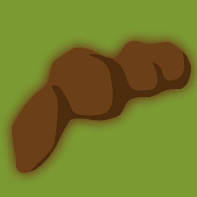 Made This for You