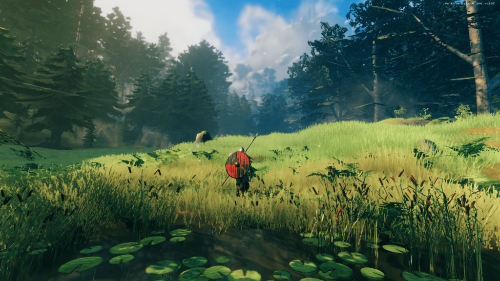 Valheim Meadows