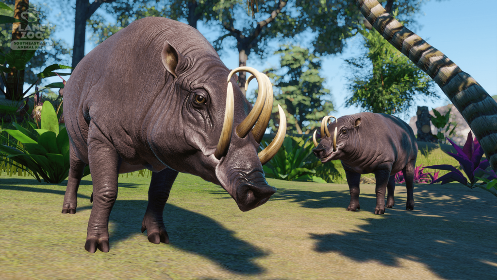 planet zoo babirusa