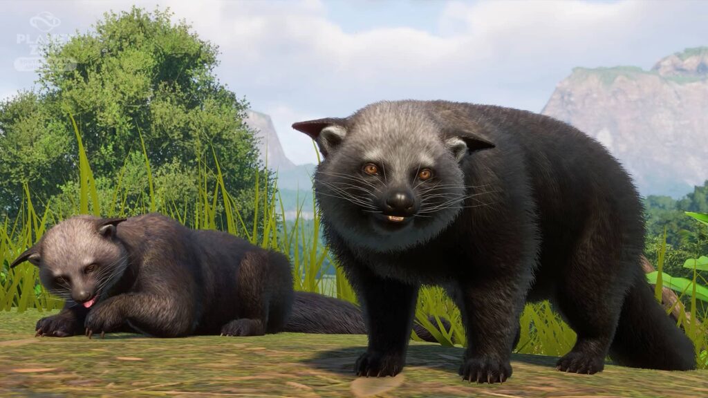 planet zoo binturong