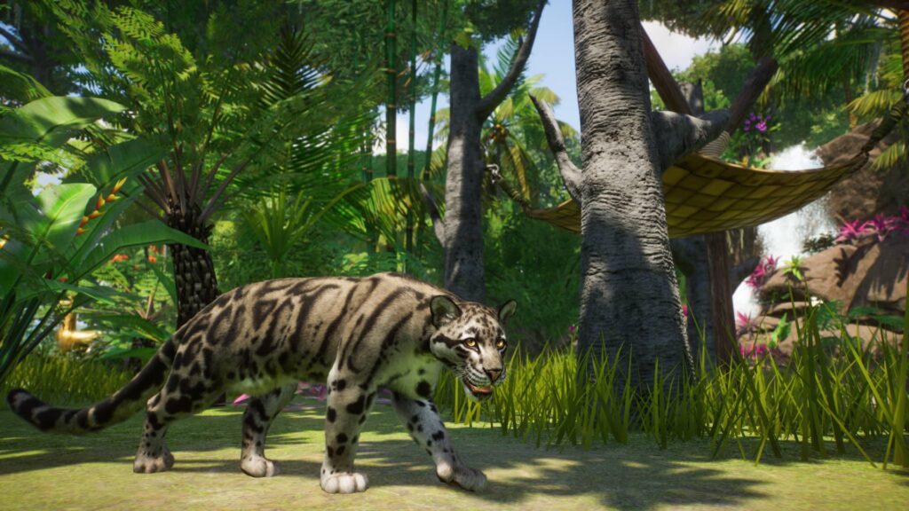 planet zoo levhart