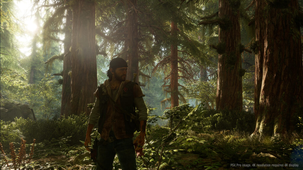 Days Gone intro wood