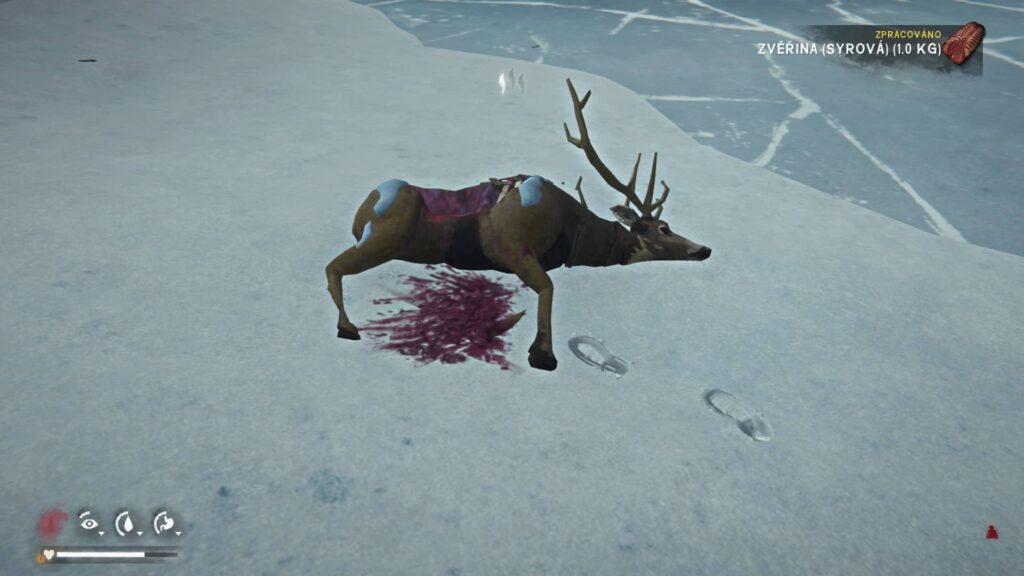 The Long Dark mrtvý jelen