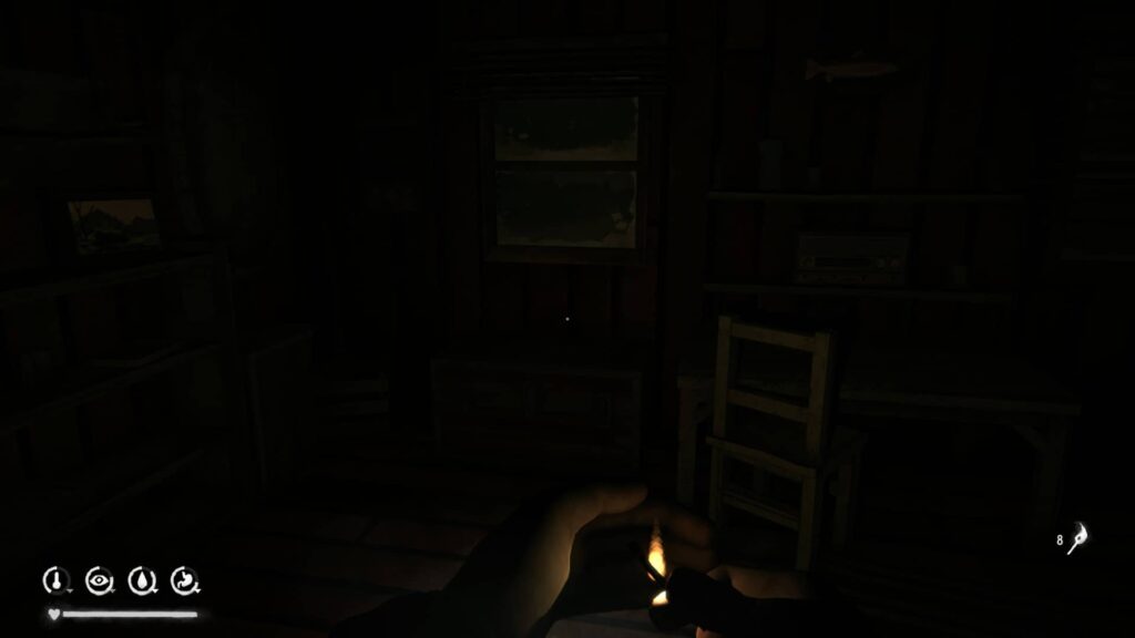 The Long Dark v domě