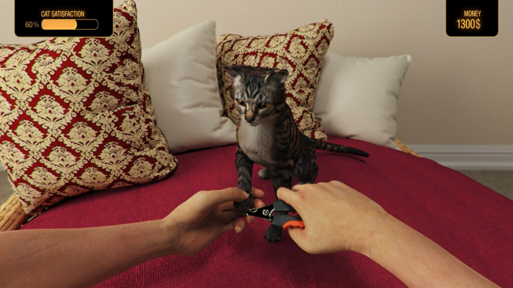 Pets Hotel cat