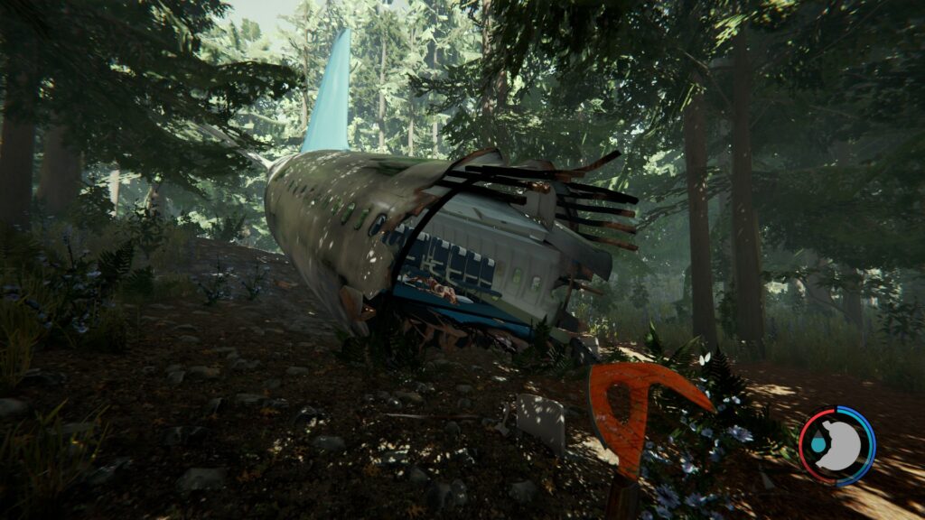 The Forest letadlo
