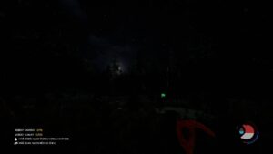 The Forest noc