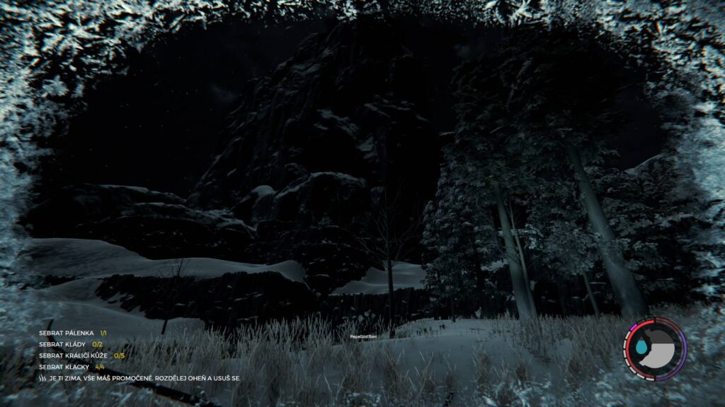 The Forest zima