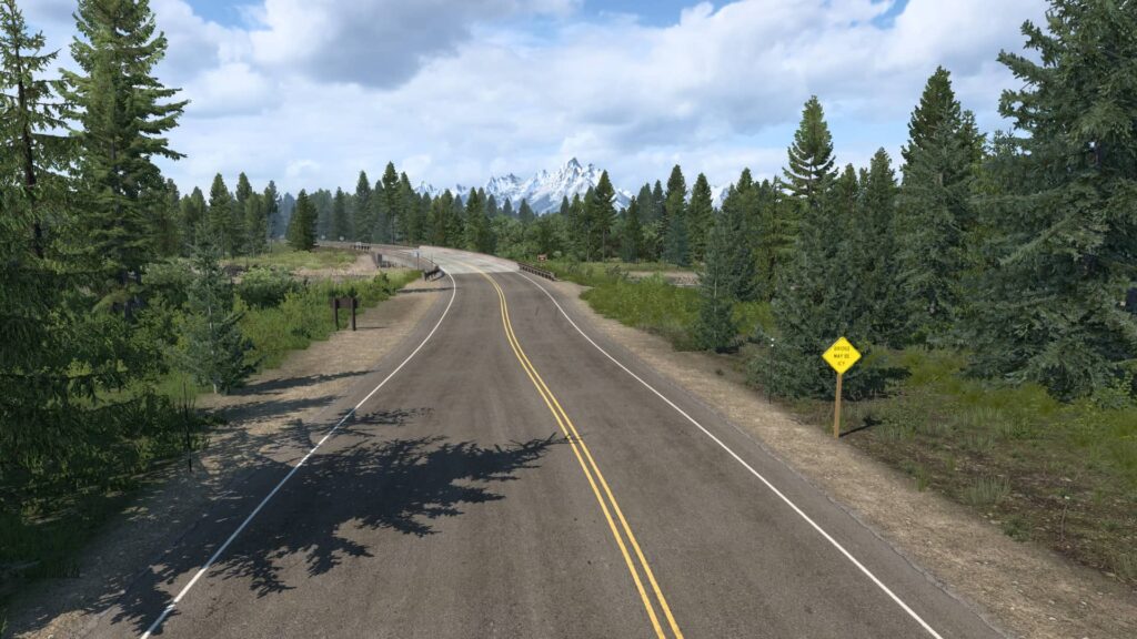 American Truck Simulator Wyoming - lesy