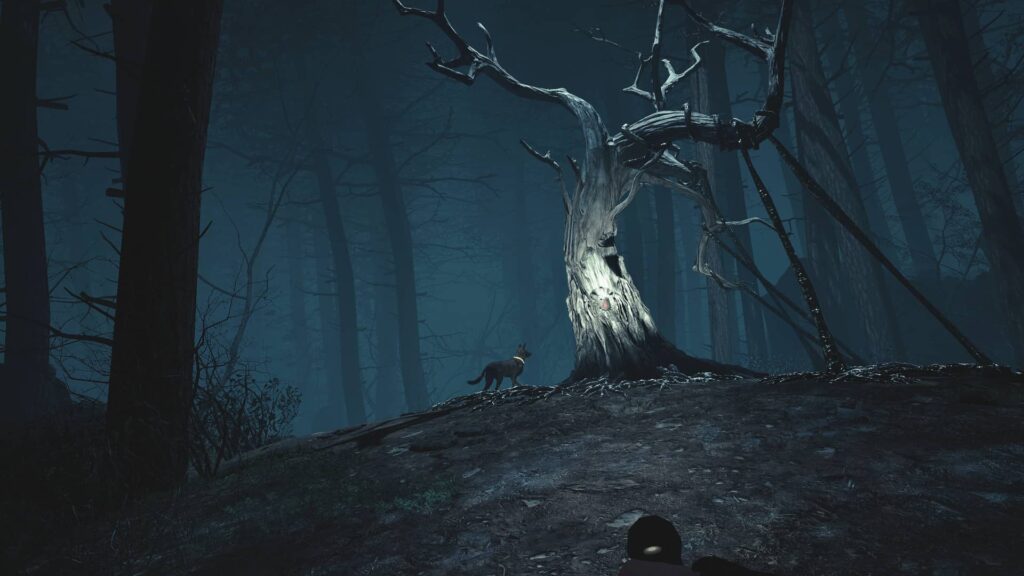 Blair Witch VR strašidelný strom