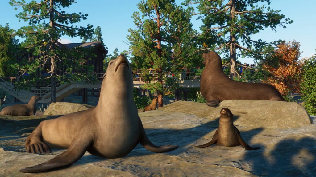 Planet Zoo lachtan kalifornský