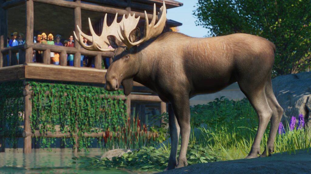 Planet Zoo los