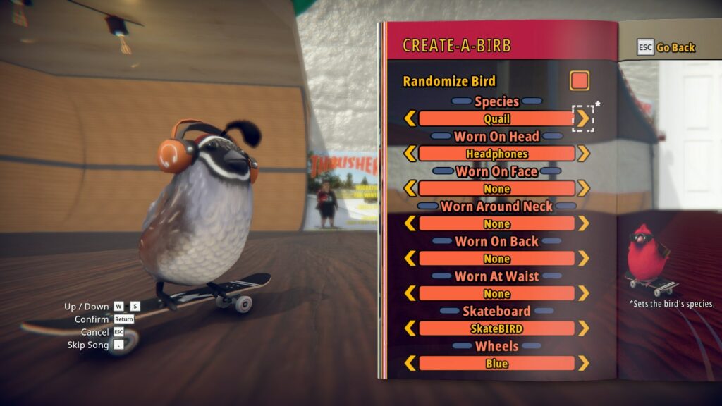 SkateBIRD - přizpůsobitelnost vzhledu