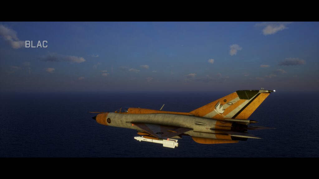 Project Wingman start