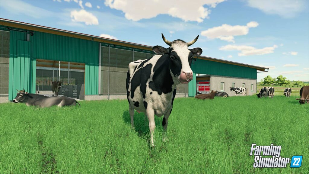 Farming Simulator 22 – kráva