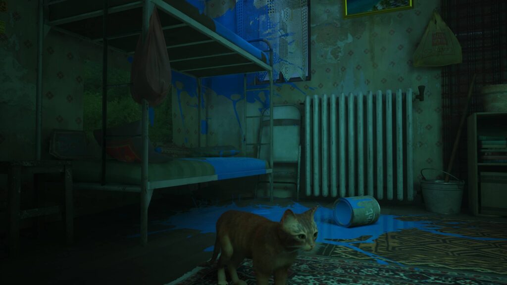 Stray – hupsík dupsík