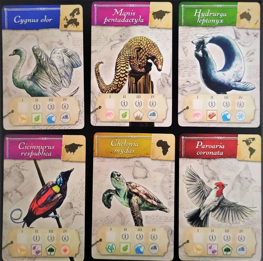 Encyklopedie - karty zvířat