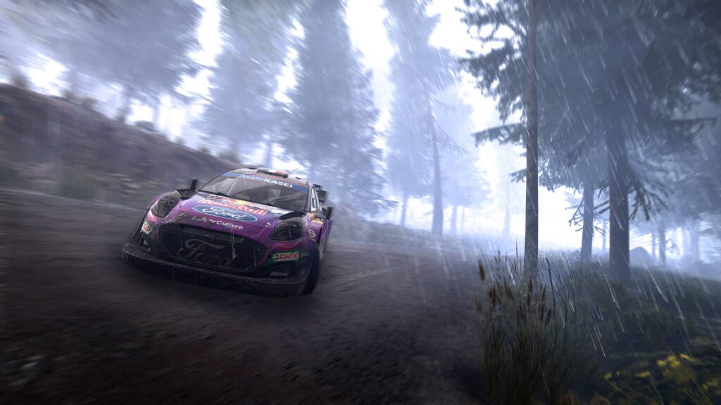 WRC - náhled