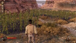 Wild West Dynasty 23