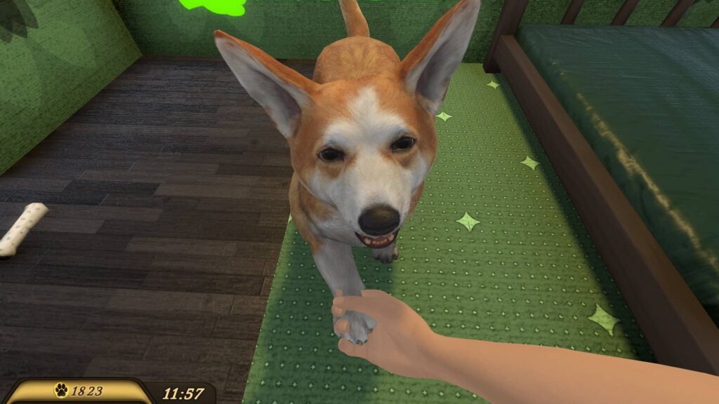 Pets hotel - dej pac