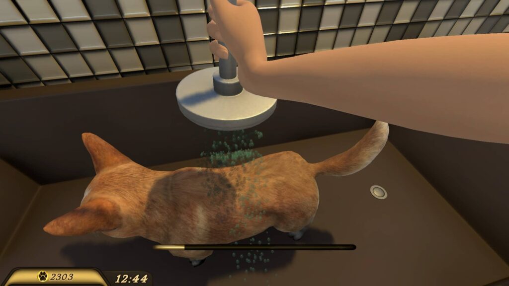 Pets hotel - koupání