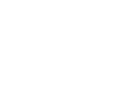 Board-Bros-Logo