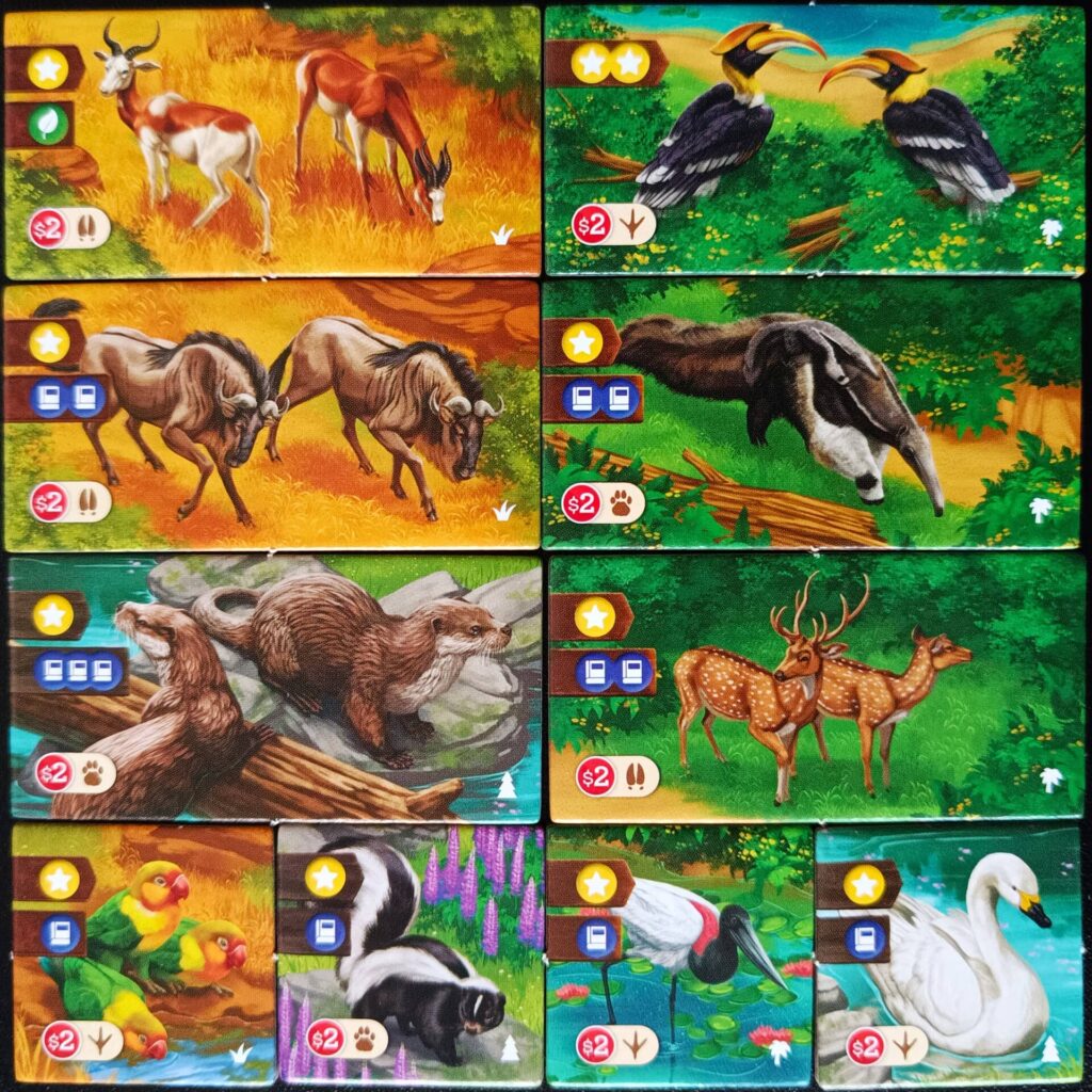 ZOO Tycoon The Board Game – společně žijící zvířata