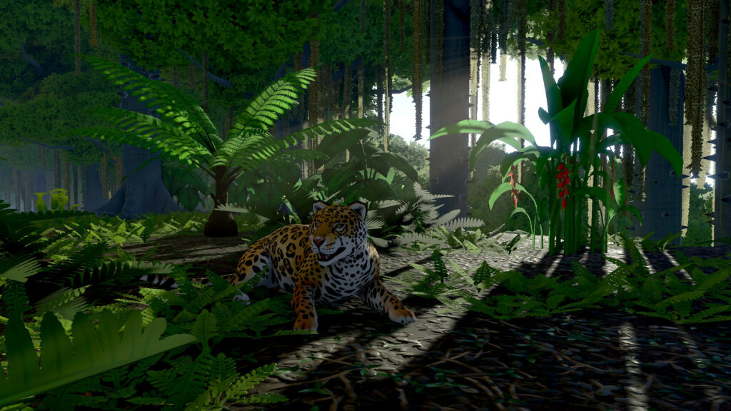 Eco - džungle