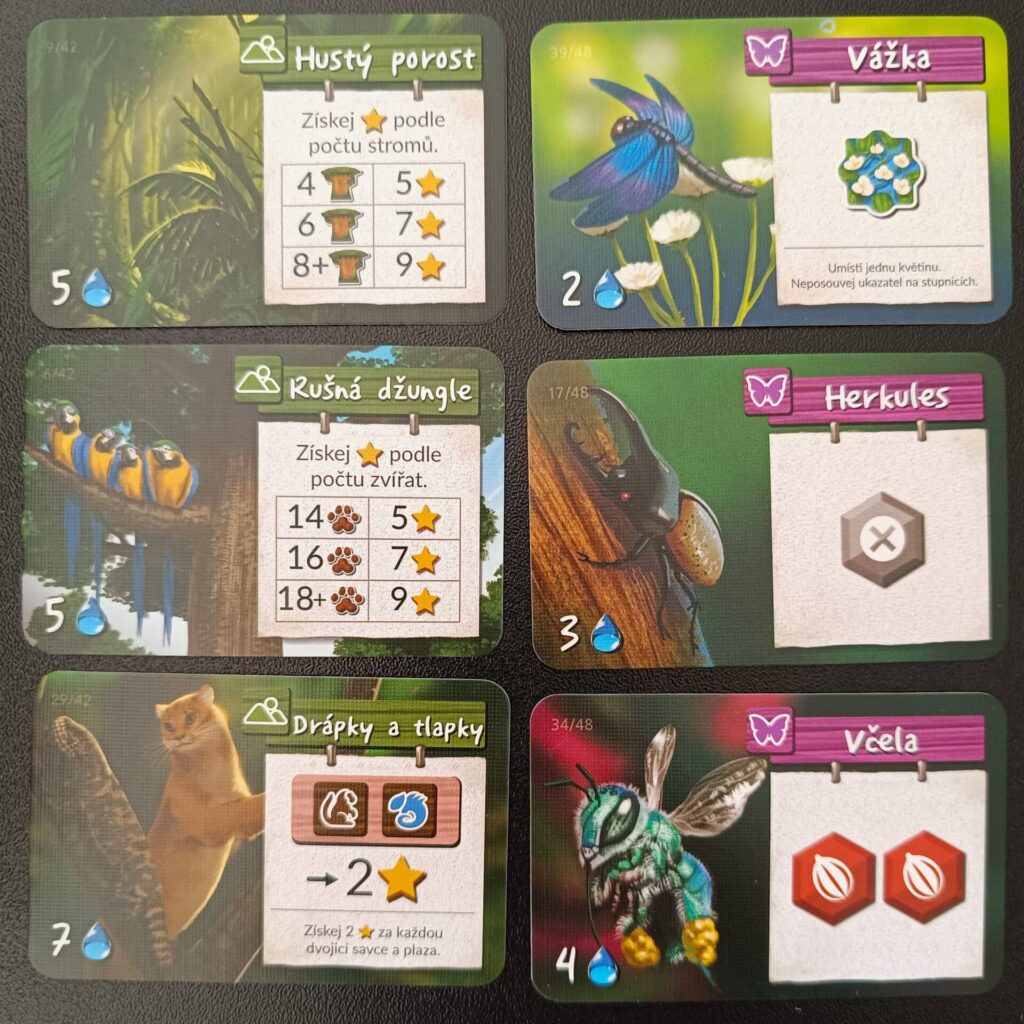Divoká Amazonie - karty přírody