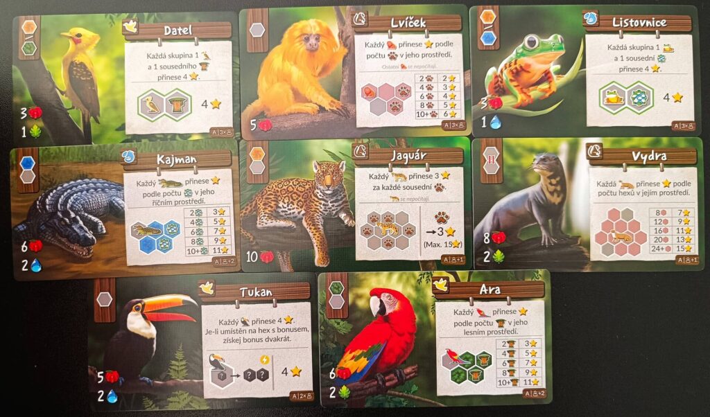 Divoká Amazonie - základní sada A