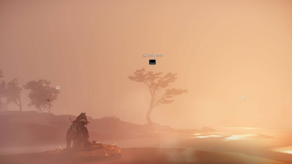 Ghost of Tsushima Director's Cut - haiku