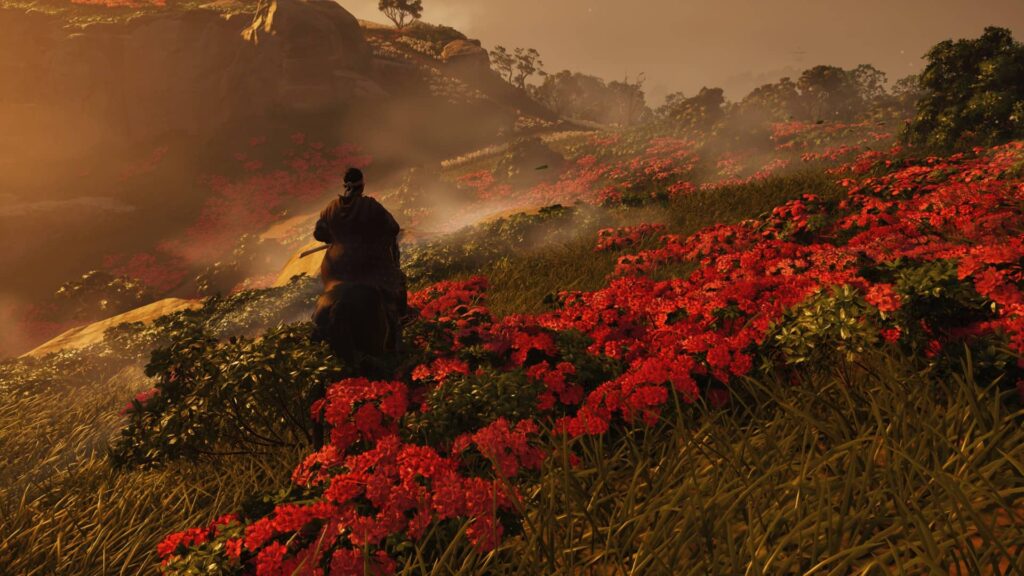Ghost of Tsushima Director's Cut - rozkvetlá louka