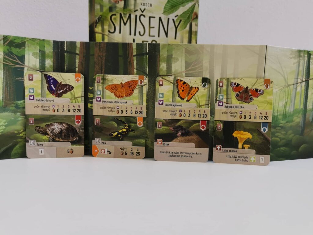 Smíšený les – motýli