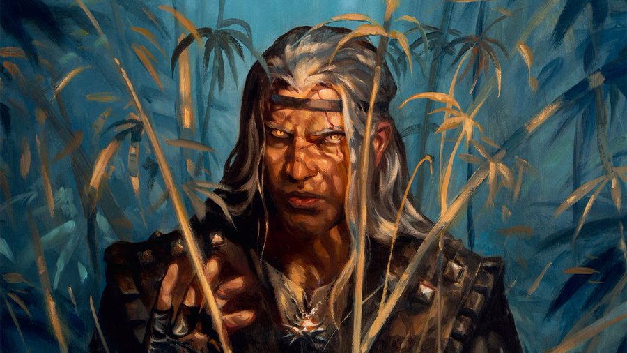 The Witcher The Edge of the World