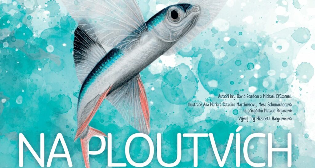 Na ploutvích náhled