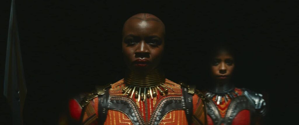 Black Panther Wakanda Forever - Danai Gurira