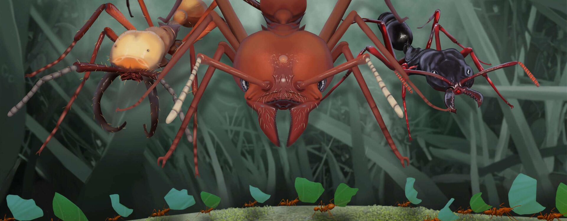 Empires of the Undergrowth - cover