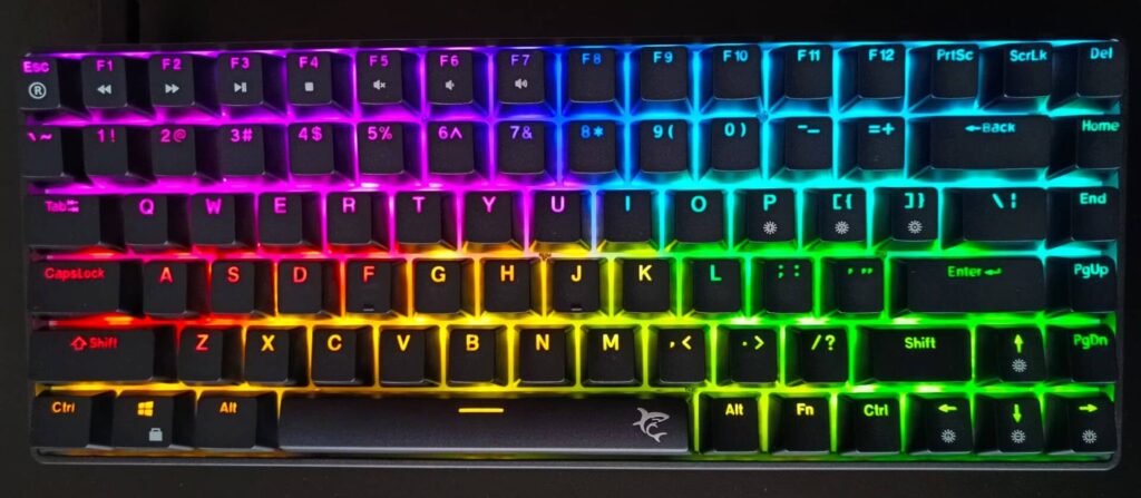 White Shark HAMACHI - RGB