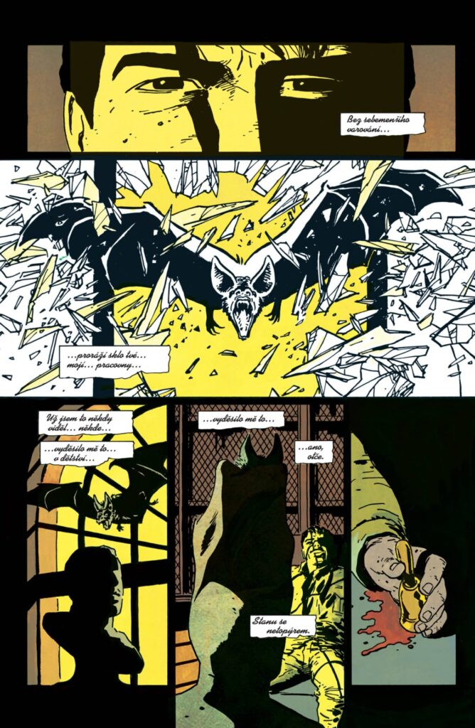 Batman: Rok jedna