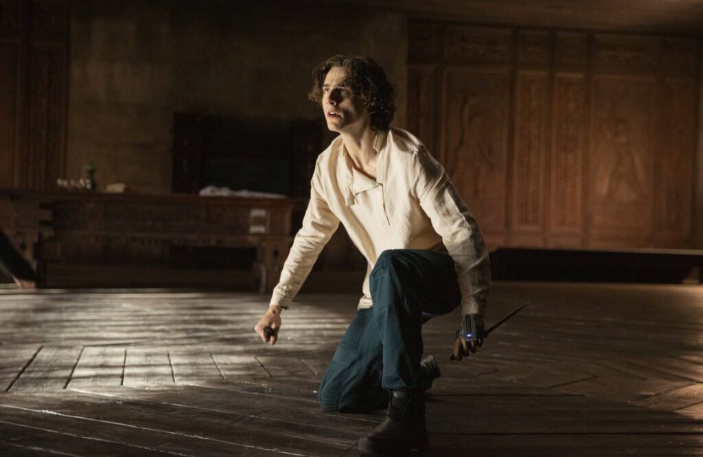 Duna - Timothée Chalamet