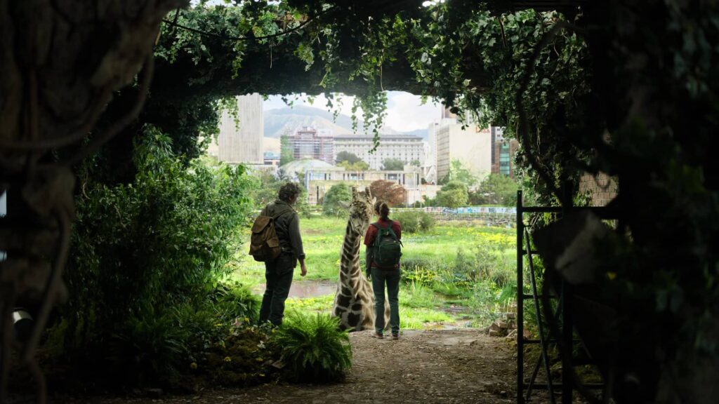 The Last of Us - žirafy