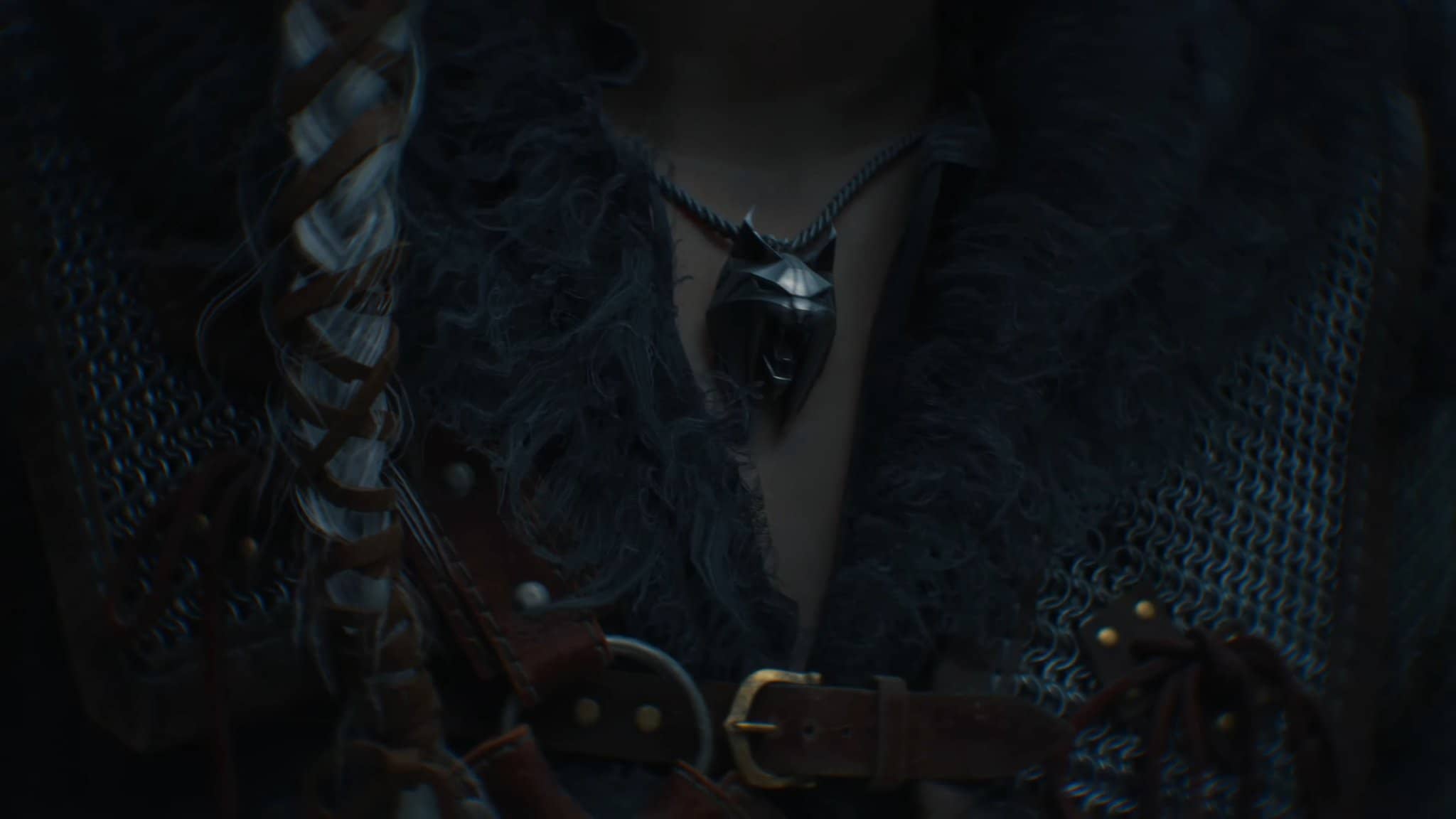 The Witcher 4 - medailon