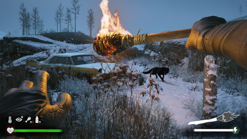 Winter Survival - boj se ohně!