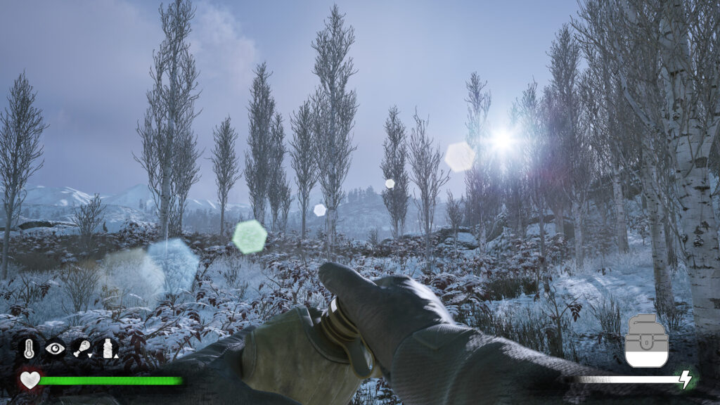 Winter Survival - občas vypít nanuk
