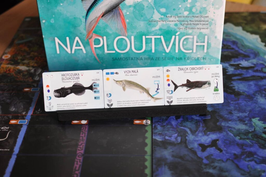 Na ploutvích - rybky s osluněnou, soumračnou či půlnoční zónou