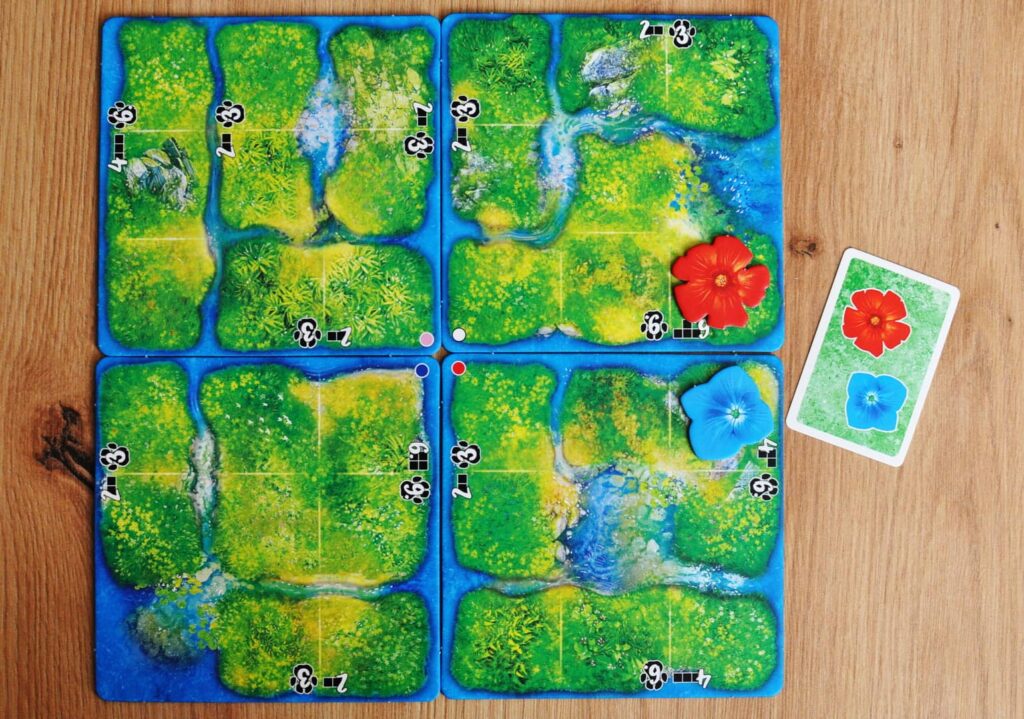 HUTAN Život v pralese - desky deštného pralesa