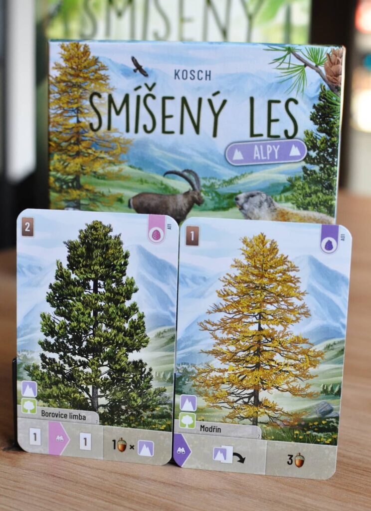 Smíšený les Alpy - nové stromy