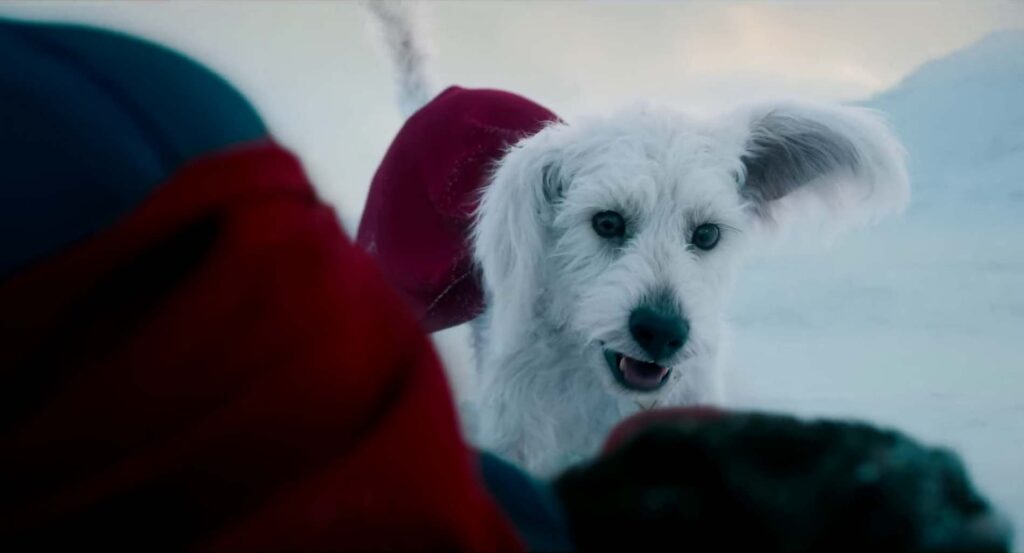Superman - Krypto