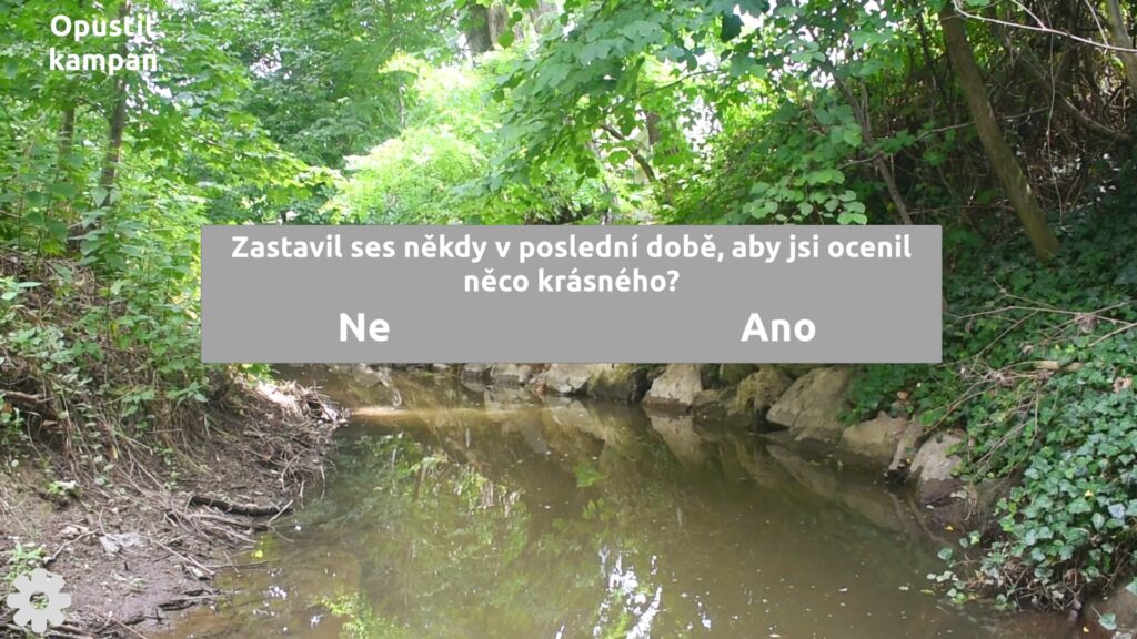 Rest Point - cílem je relax