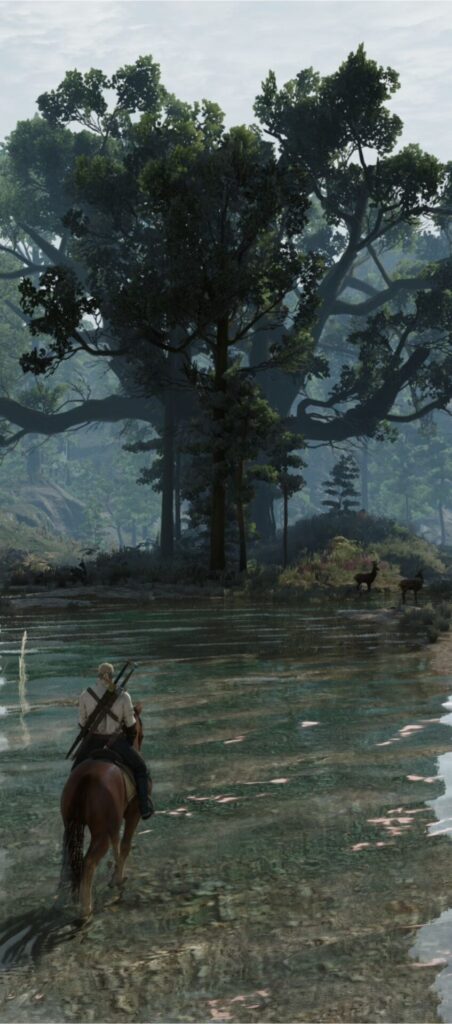 Wild Monster Hunt - Geralt na průzkumu